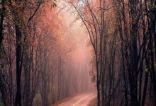 斯卡洛尼:拉菲尼亚说要痛击我们?大家都想赢但这只是场比赛.