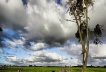 世界羽联巡回赛总决赛抽签结果公布 国羽两对混双组合提前交手央视新闻客户端.