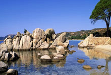 爱体育官网:澳网-错失赛点 张帅波帕纳组合止步澳网混双8强.